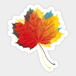 Autumn leaves red yellow on blue Sticker